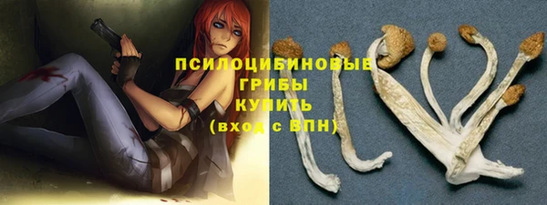 хмурый Инта