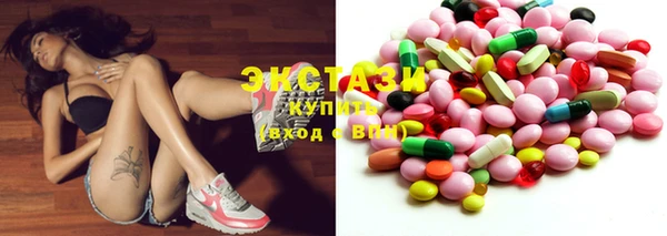 хмурый Инта