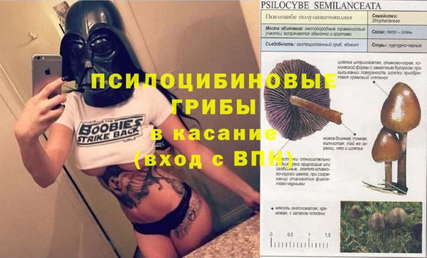 эйфоретик Инсар