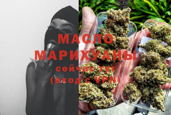хмурый Инта