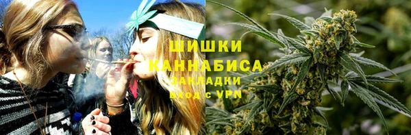 ПСИЛОЦИБИНОВЫЕ ГРИБЫ Каменка
