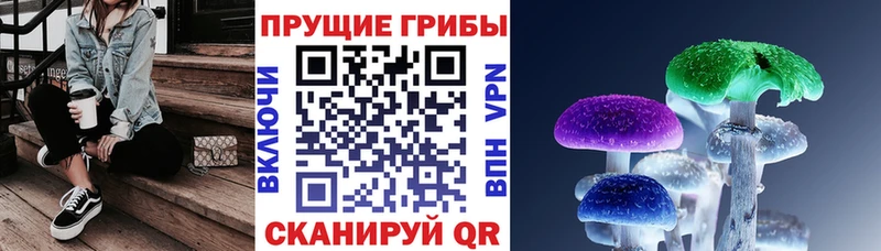 Купить закладки  Энем  Галлюциногенные грибы MAGIC MUSHROOMS 